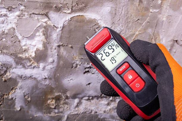 Best Mold Remediation for Schools in Vernon, AL
