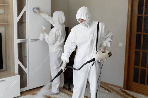 Best Post-Flood Mold Remediation in Vernon, AL